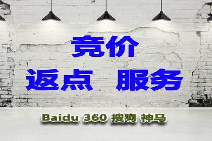 案例研究：信息流广告投放优化